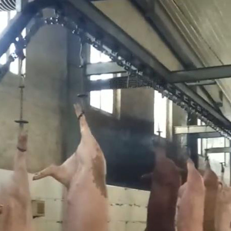 毛豬活掛機(jī) 毛豬活掛機(jī)